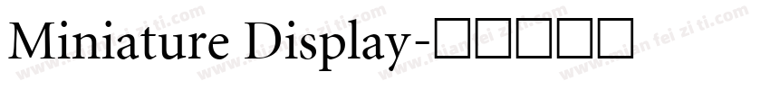 Miniature Display字体转换